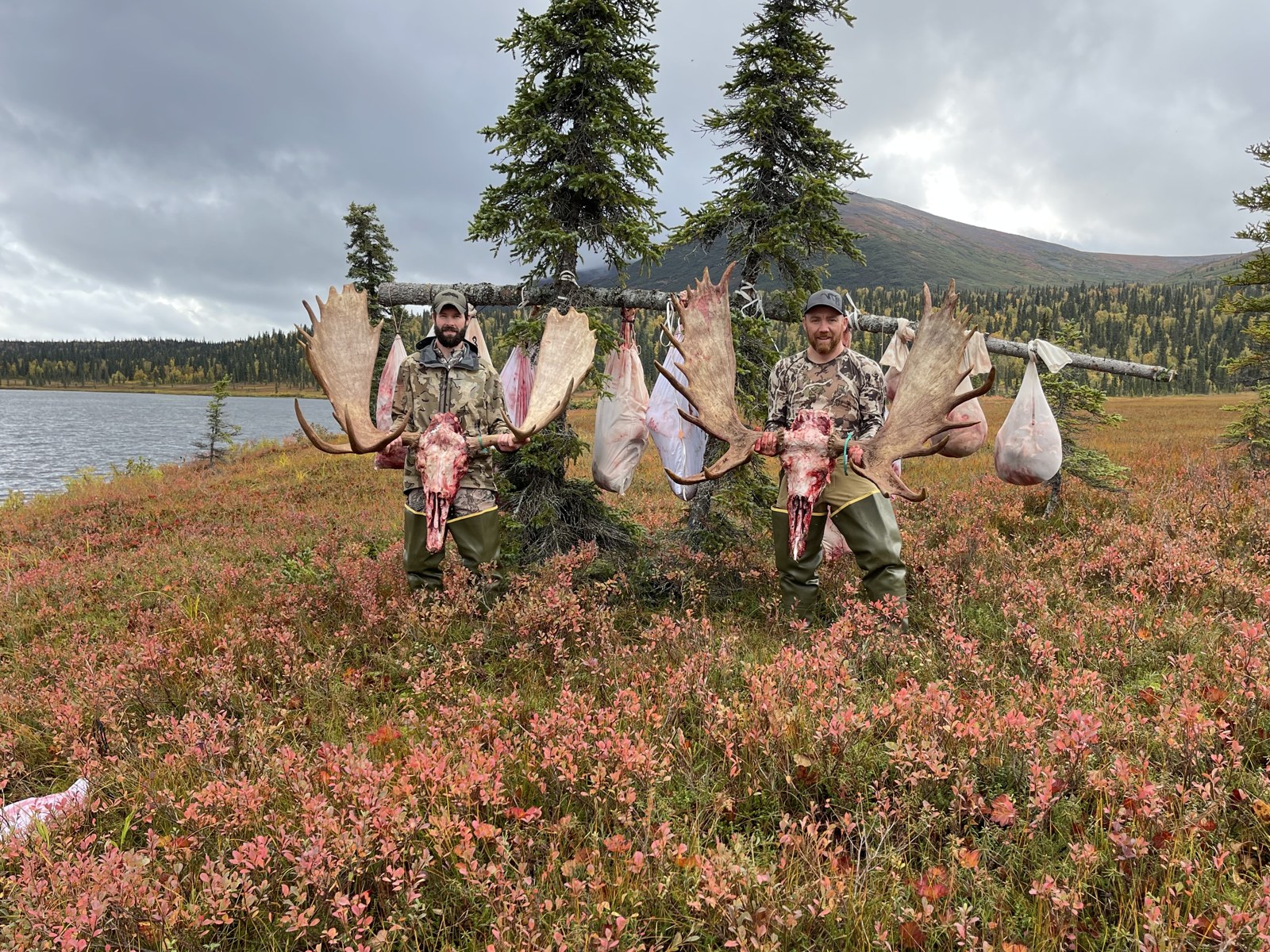 Alaska DIY Moose Hunt