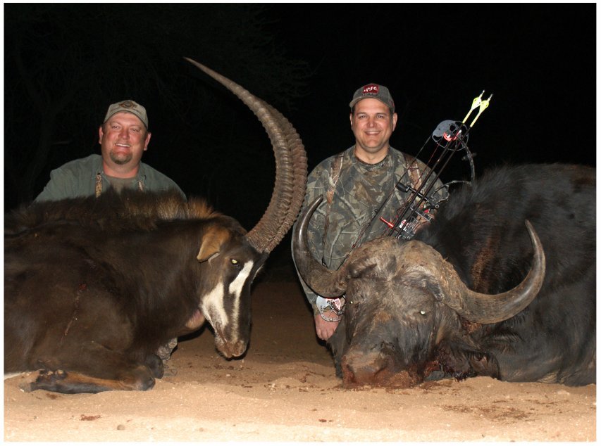 Nyala Bushveld Hunt