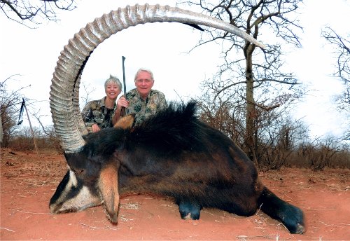 Sable Antelope Safari
