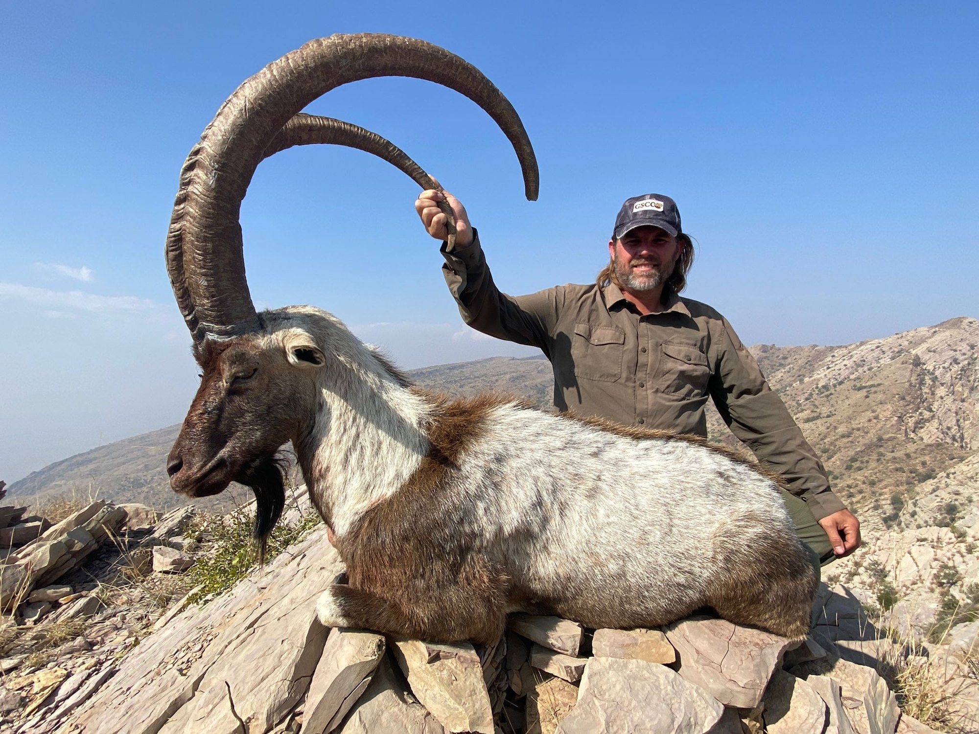 Sindh & Himalayan Ibex Combo